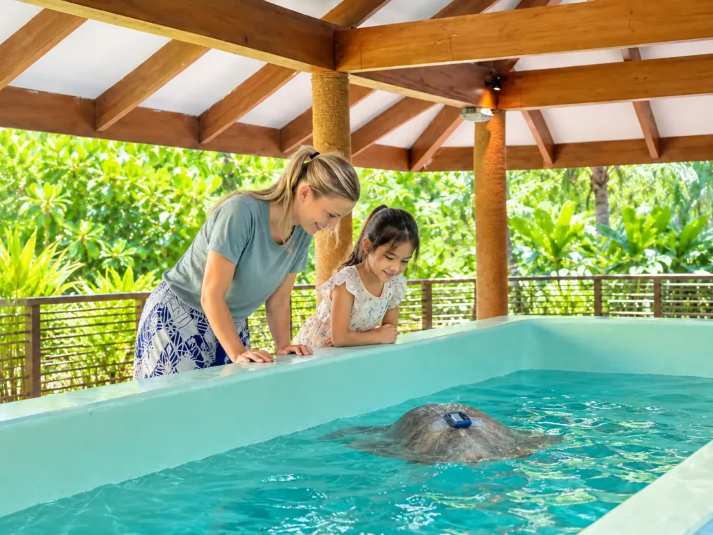 Marine Discovery Centre, Four Seasons Landaa Giraavaru, Maldives