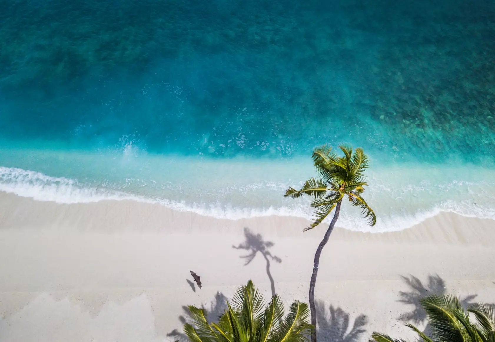 Maldives beach.