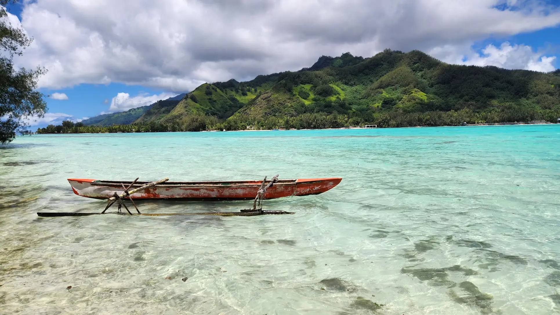 Lush mountains and turquoise water on Moorea in French Polynesia