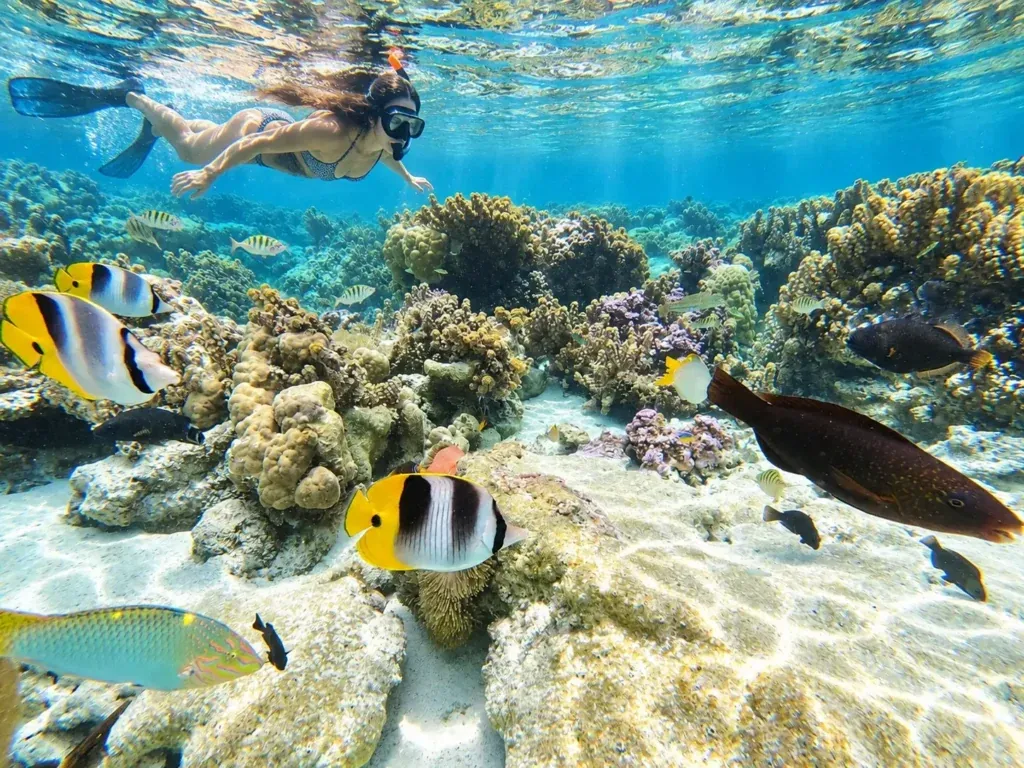 Snorkeling, Taha's Coral Garden